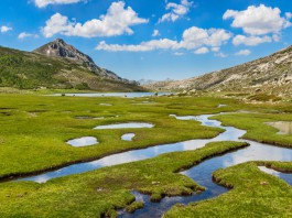 parc-naturel-regional-corse-plan-pnrc