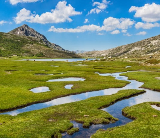 parc-naturel-regional-corse-plan-pnrc